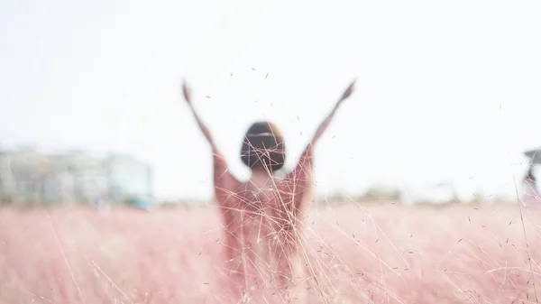 Close Woman Hand Holding Dandelion Seeds Field — стоковое фото