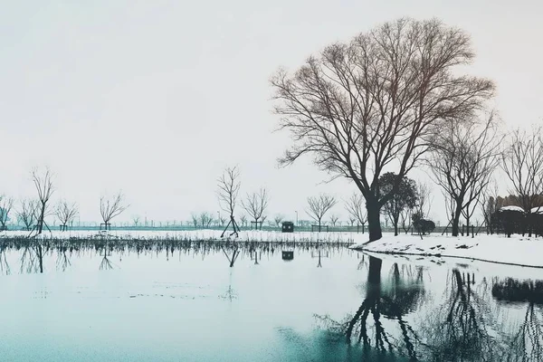 Picturesque View City Park — Stock Photo, Image