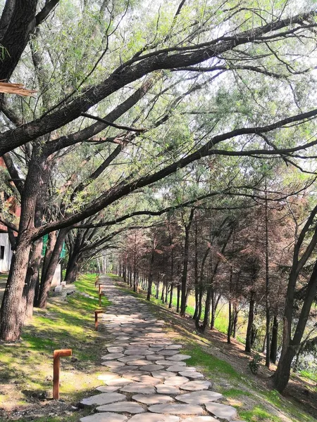 Hermosa Vista Del Parque Ciudad — Foto de Stock