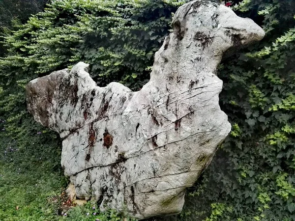 Una Vista Arroyo Montaña — Foto de Stock