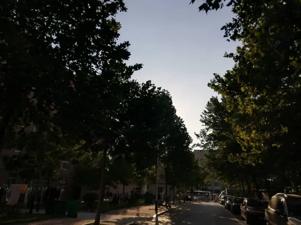 Parque Ciudad Por Noche — Foto de Stock