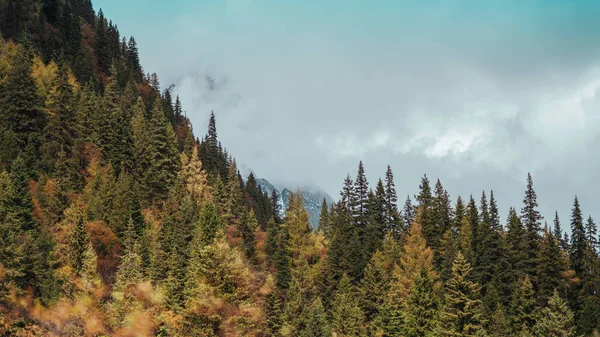Krajobraz Górski Karpatach — Zdjęcie stockowe