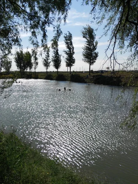 Lago Bosque — Foto de Stock