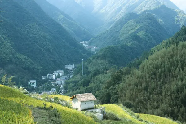 Paisaje Montaña Con Hierba Verde Montañas — Foto de Stock