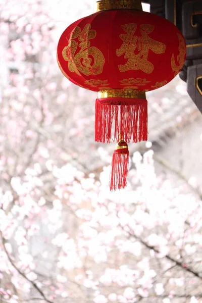 chinese lanterns in china