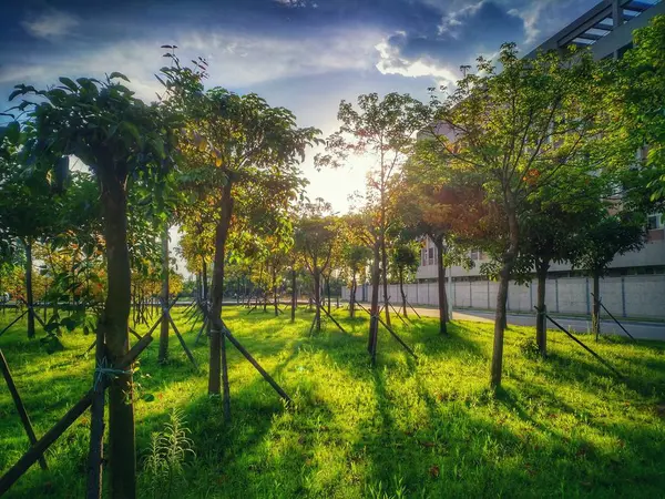 Pintoresca Vista Del Parque Ciudad — Foto de Stock