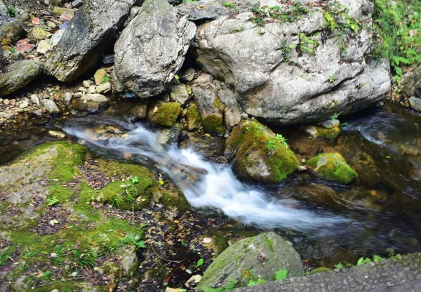 waterfall in forest, nature and river flow