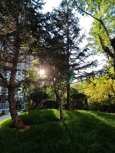 Hermoso Parque Ciudad — Foto de Stock