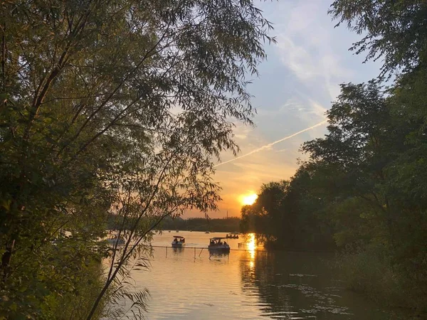 Puesta Sol Parque — Foto de Stock