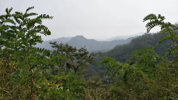 Paisaje Montaña Las Montañas — Foto de Stock