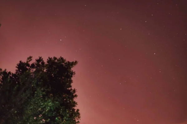 Hermoso Cielo Estrellado Noche — Foto de Stock