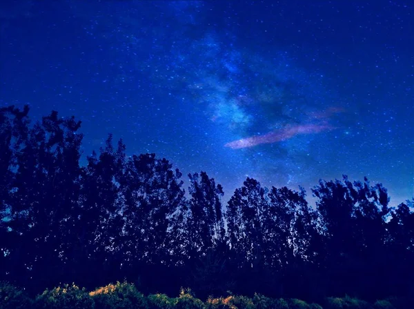 Hermoso Cielo Estrellado Noche — Foto de Stock