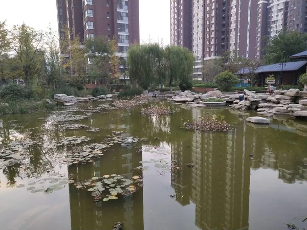 Ciudad Del Parque Por Mañana — Foto de Stock