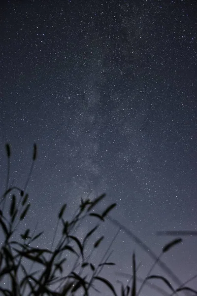 Nachtlandschaft Mit Einem Schönen Sternenhimmel — Stockfoto