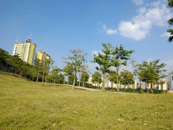 Hermosa Vista Del Parque — Foto de Stock