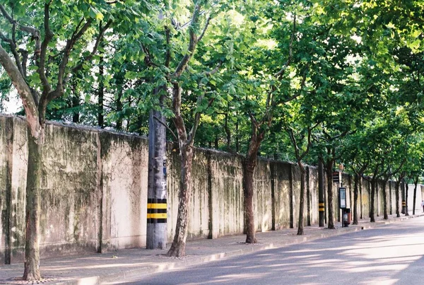 Camino Parque Ciudad — Foto de Stock