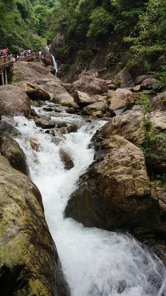 waterfall in forest, nature and river flow