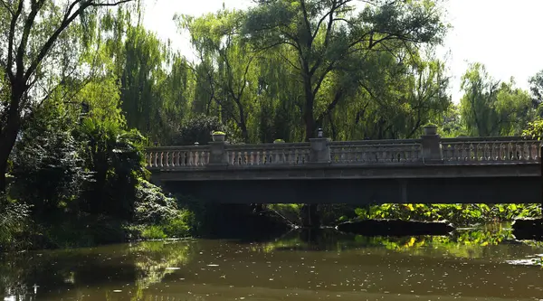 Puente Parque — Foto de Stock