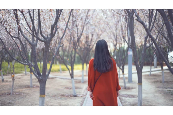 Fingiendo Japón Ver Flores Había Nada Que Decir Salí Puerta — Foto de Stock