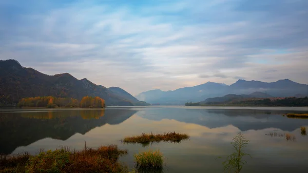 Bela Paisagem Com Uma Árvore Nas Montanhas — Fotografia de Stock