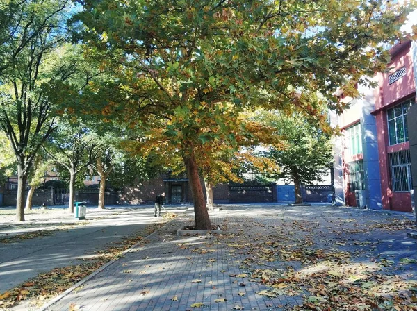 Herbst Park lizenzfreie Stockbilder