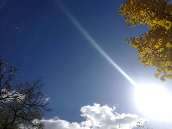 Hermoso Cielo Con Nubes Sol — Foto de Stock