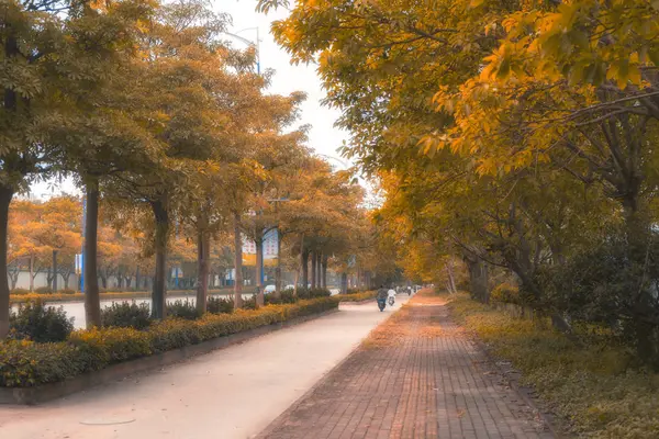 Paisaje Otoñal Con Árboles Hojas — Foto de Stock