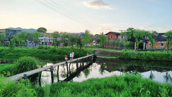 Campo Arroz Tailandia — Foto de Stock