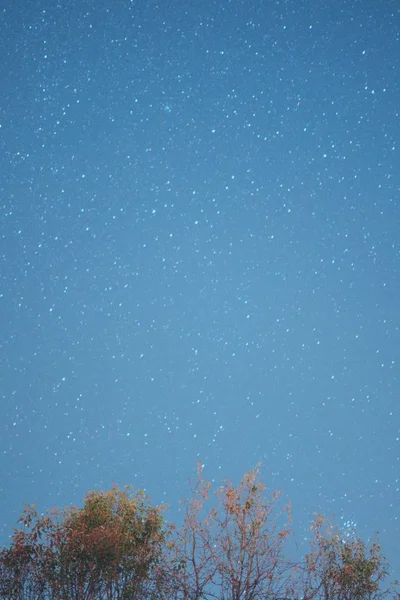 Hermoso Cielo Estrellado Noche — Foto de Stock