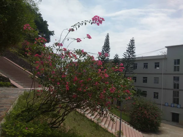 Hermosa Vista Ciudad Casa Parque — Foto de Stock