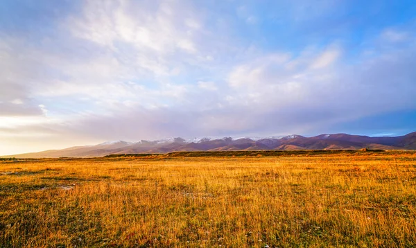 Picturesque View Outdoor Scene — Stock Photo, Image