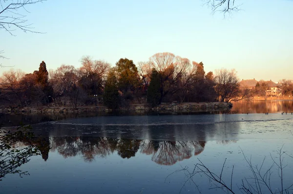 Hermoso Paisaje Otoñal Con Árboles Reflejos — Foto de Stock