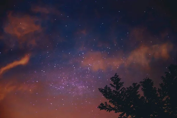 Hermoso Cielo Estrellado Noche — Foto de Stock