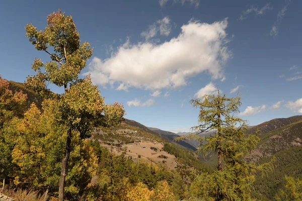 Hermoso Paisaje Con Árbol Las Montañas — Foto de Stock