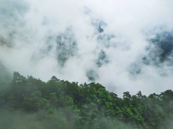 Hermoso Paisaje Con Árboles Nubes — Foto de Stock