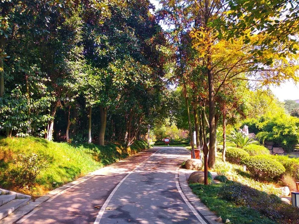 Camino Parque Ciudad Tailandia — Foto de Stock