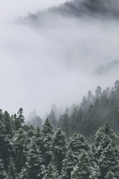 Paysage Montagne Brumeux Avec Brouillard — Photo