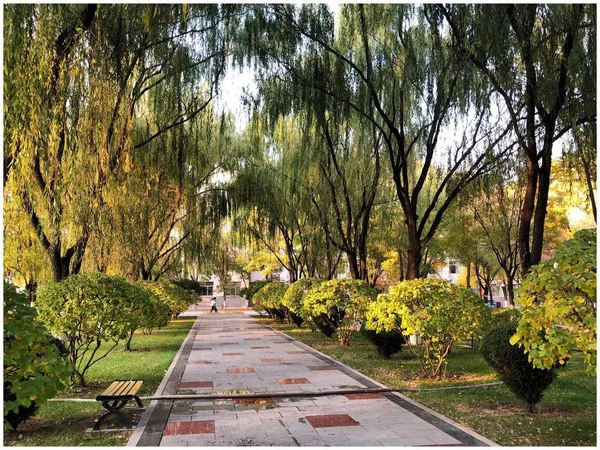 Hermoso Parque Ciudad — Foto de Stock