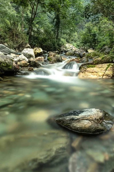 Wasserfall Flusslauf Der Natur Flora — Stockfoto