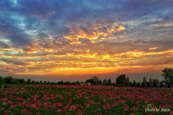 picturesque view of outdoor scene