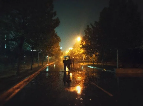 Vista Nocturna Del Parque Ciudad Por Noche — Foto de Stock