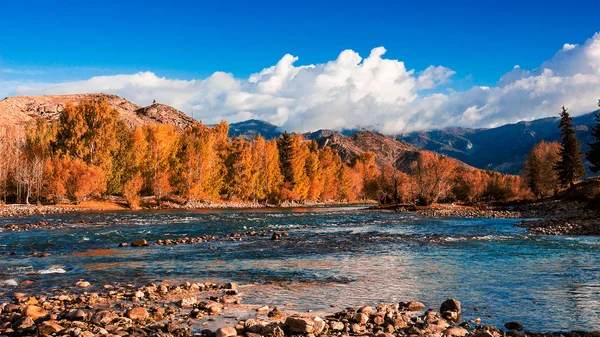 Herbstlandschaft Mit Einem See Herbst — Stockfoto