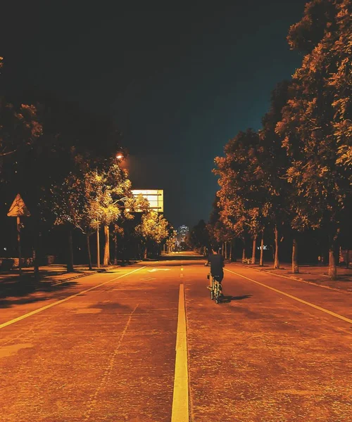Camino Parque Ciudad Por Noche — Foto de Stock