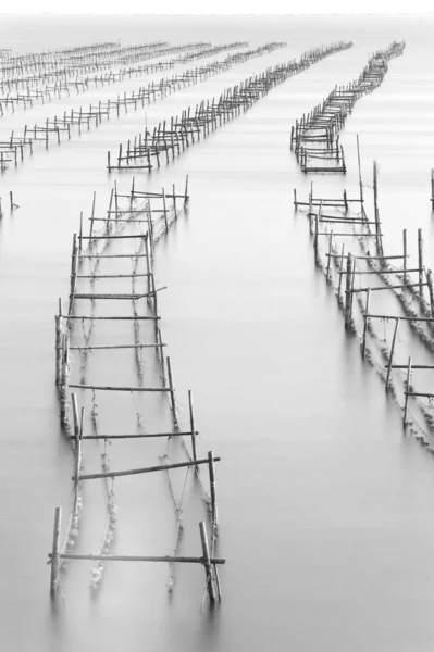 海上的木制码头 — 图库照片