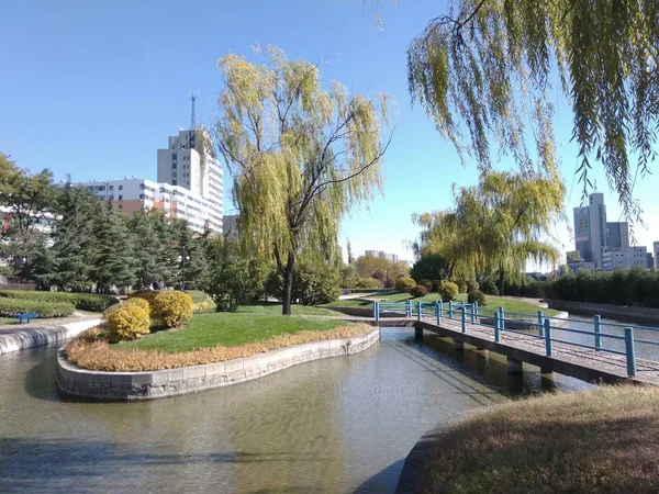 Ciudad Del Parque Verano — Foto de Stock