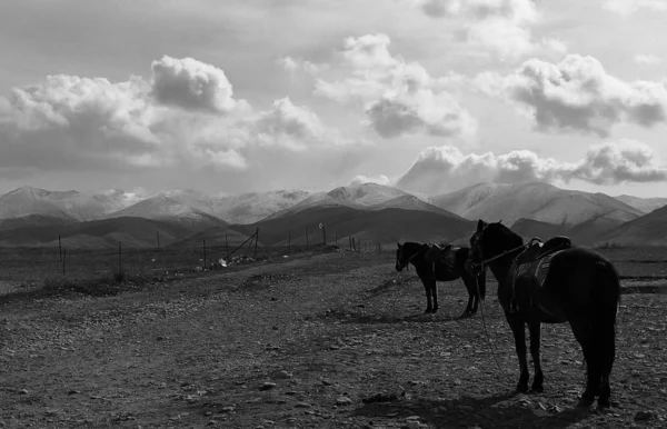 black and white photo of a mountain landscape