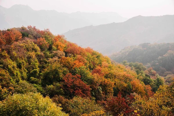 Paisaje Otoñal Las Montañas Los Cárpatos — Foto de Stock