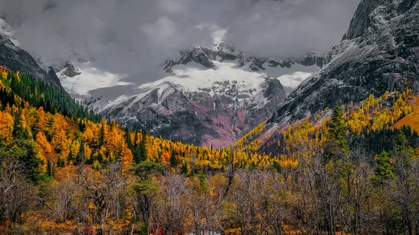 Outono Paisagem Nas Montanhas — Fotografia de Stock