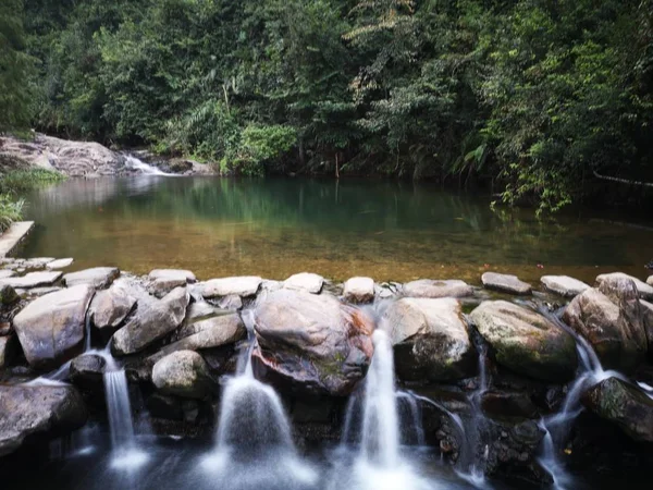 Cascada Bosque Naturaleza Caudal Del Río —  Fotos de Stock