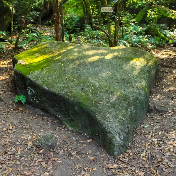 Viejo Camino Madera Bosque — Foto de Stock